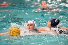 WWPolo @ CC  Wheaton College Women’s Water Polo at Connecticut College. - Photo By: KEITH NORDSTROM : Wheaton, water polo